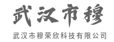 数据化作星河，点亮智能时代航路-武汉市穆荣欣科技有限公司